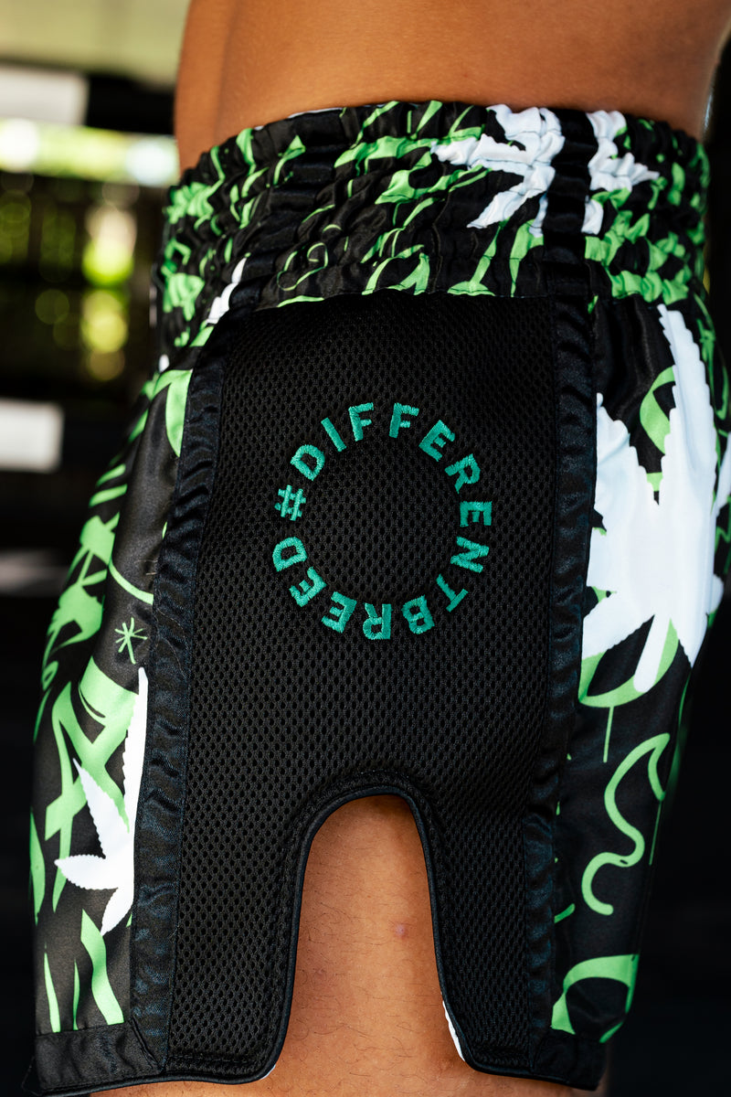 Get high On Muay Thai Shorts Fightlab