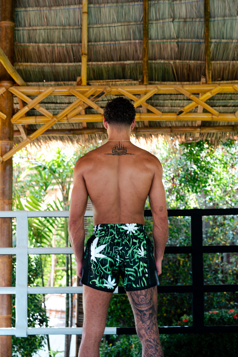 Get high On Muay Thai Shorts Fightlab