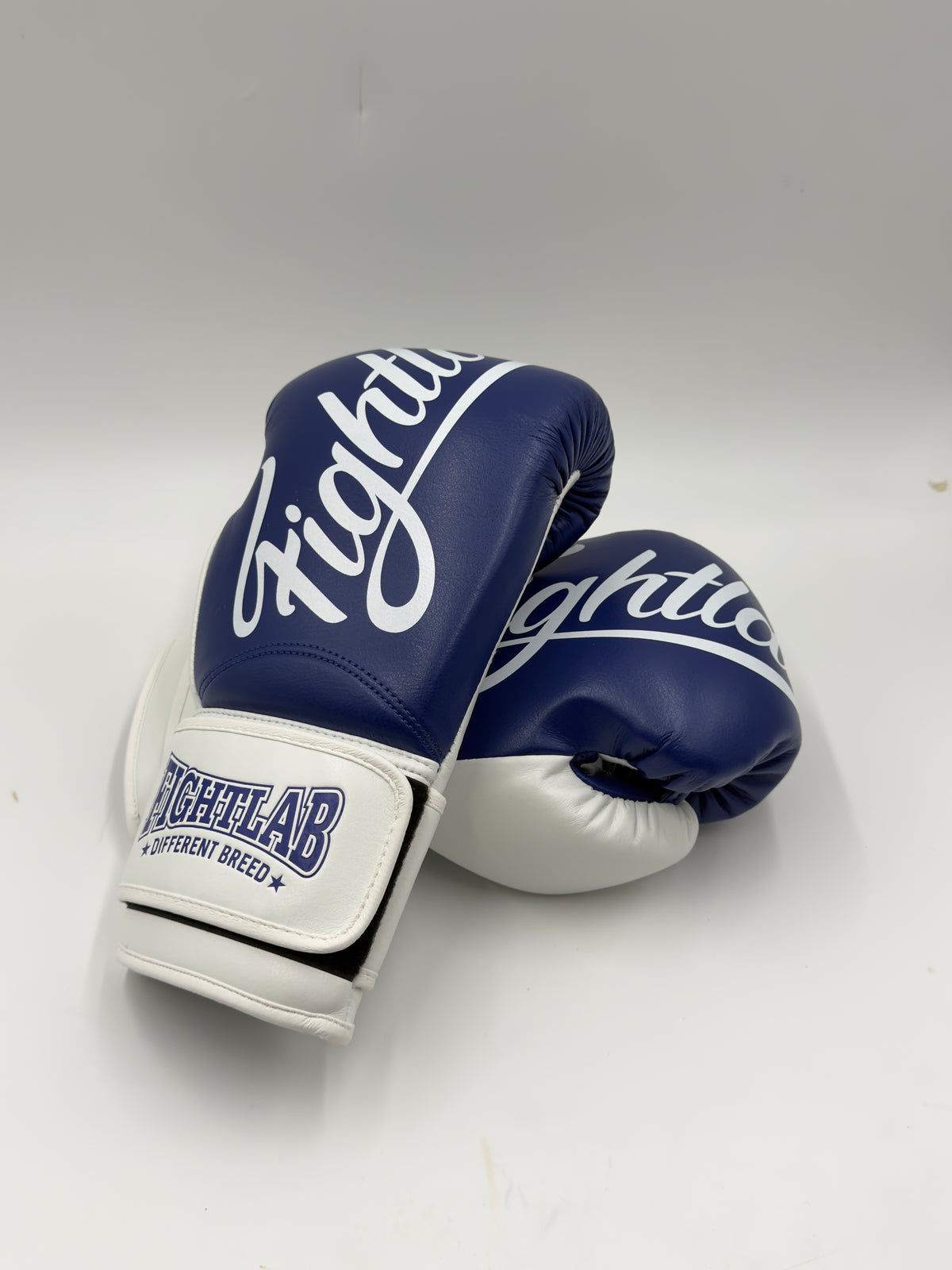 Grit & Glory Thai Boxing Gloves Fightlab