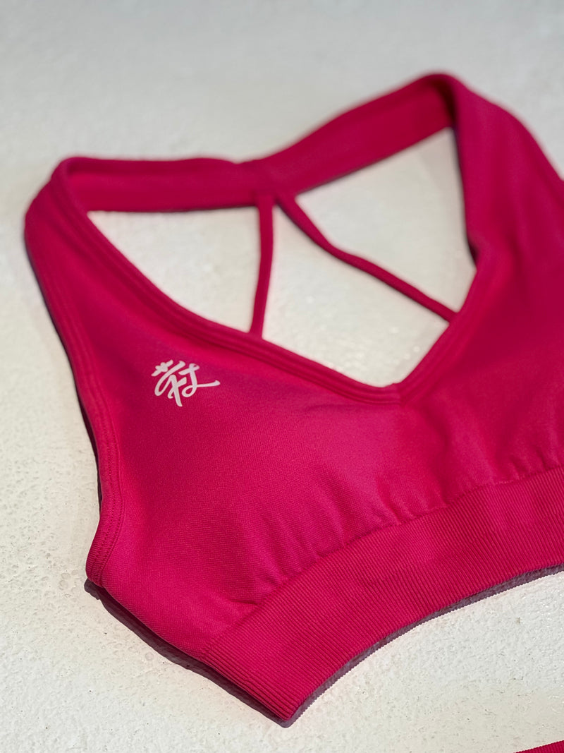Miss Katy Sports Bra Fightlab